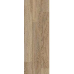 Lily Oak Brown Lily Oak Brown