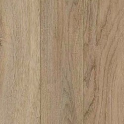 Lily Oak Brown Lily Oak Brown